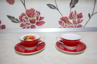 Апартаменты Apartmani MG Никшич Апартаменты-11